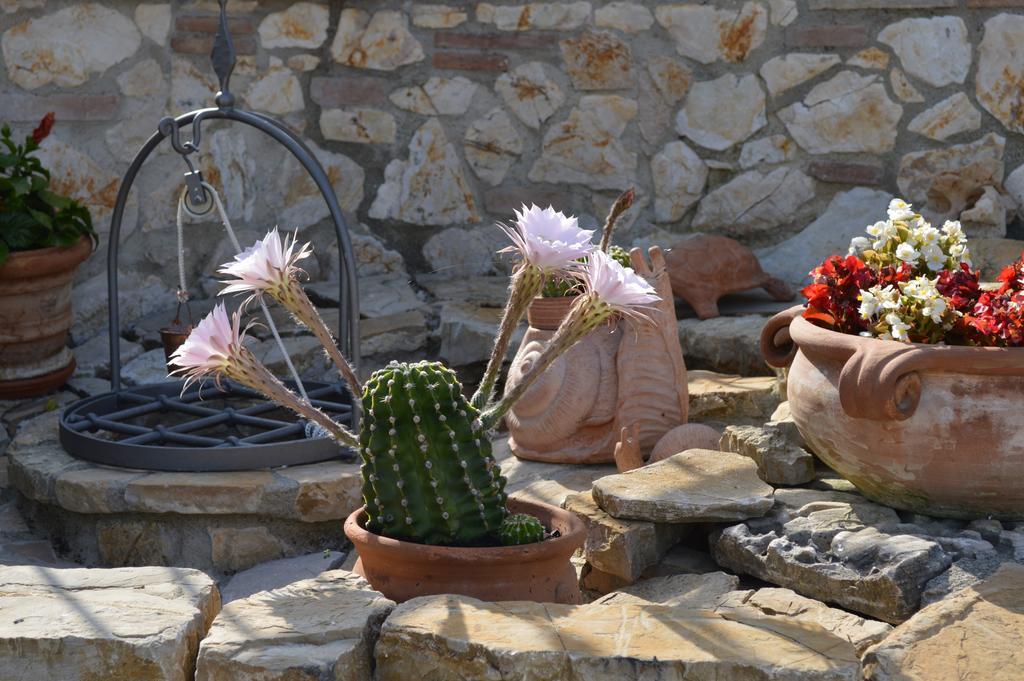 B&B La Casa Fra Gli Olivi Marsciano Bagian luar foto